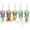 Mimeela Confezione da 5 supporti per piante ad aria, in ceramica, da appendere, decorazione da parete per casa e ufficio (S, 5,1 x 8,1 cm)
