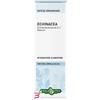 ERBA VITA GROUP SPA ECHINACEA RADICE SOLUZIONE IDROALCOLICA 50 ML