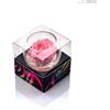 Ars Nova Boccia vetro diam. cm 6,5 scented rose - rosa
