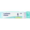 Lachesis Mutus 6Ch Gr 4 g Granuli