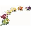 Rayher 8537949 - Uccello fungo, 1,5 cm, 6 colori assortiti