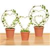Fnaobai Hoya - Set di tralicci di 3 dimensioni per piante da interno, supporto per fiori, rotondi o a forma di cuore, in metallo, accessori da giardino, accessori per piccole piante rampicanti in vaso