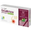 Farmacia Bergamini NutriDef Gola & Voce SUGAR FREE 20 Pastiglie gusto Menta