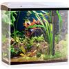 Sweetypet Acquari - Set Completo per Acquario: Set Completo per Nano Acquario, 40 Litri, Pompa, Filtro (Completi acquari, Accessori, Luce)