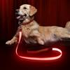 Bpawser Light Up Guinzaglio per cani ricaricabile micro USB, in nylon luminoso, standard di sicurezza, per cani, 120 cm, 4 piedi (rosso)
