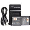 DSTE NP-40 Li-ion Batteria (2-Pacco) e Caricabatterie USB Compatibile per Casio Exilim EX-FC100 EX-FC100WE EX-FC150 EX-FC150BK EX-FC150RD EX-FC160S EX-Z400