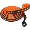 PETTOM Kaka mall Guinzaglio Cane Taglia Grande Piccolo Medio con Targhetta Nome Imbottita Nylon Riflettente Eco-friendly Resistente Antiscivolo Arancione (L: 200CM)