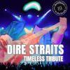 52733 Dire Straits Timeless Tribute