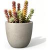 Kante RC0050B-C80021-2 - Vaso da giardino leggero e moderno, elegante fatto a mano, per interni ed esterni, 35,6 cm, in calcestruzzo stagionato