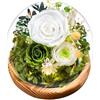 Touloube Rosa Stabilizzata Vera Regalo per la Festa Della Mamma per Donne Mamma Moglie, Avanzate Regalo Donna, Rosa Eterna Fiore Bella e la Bestia con Luci LED, Anniversario Regalo Rosa Moglie Nonna, Bianco