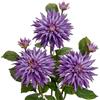 Hollyone Grandi fiori artificiali di dalia da 19 cm (7,5'') con steli lunghi, 3 fiori finti viola e 3 boccioli finti decorativi, composizioni floreali per la decorazione della casa, soggiorno, cucina