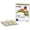 CAMON SpA HELPAGE VET 60CPR