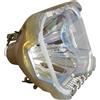 CANON LV-LP19, 9269A001 LAMPADA PHILIPS SENZA SUPPORTO (SOLO BULBO)