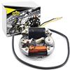 Area1 Alternatore di ricambio 6 V 17 W accensione bobina di accensione Sator interruttore motorino motorino per Maxi S + N / 1 marce automatico/Mofa, Prima 2, 3, 4, 5, 505