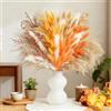 UNIANE 64 Pezzi di Decorazioni in Erba di Pampa Boho,Fiori secchi a Forma di Coda di Coniglio,Fiori di Canna secchi per Tavolo da Pranzo di Tutti i Giorni,Matrimoni,Decorazioni