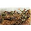 Hobbyboss Hobby Boss 84415 - Modellino di modellino, multicolore