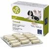 CAMON SpA Ormevit Mangime Complementare per Cani e Gatti 60 Compresse - Integratore Multivitaminico per Animali Domestici