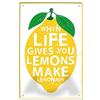 WOGEKA ART When Life Gives You Lemons Make Lemonade 312 - Targa Decorativa in Metallo, 20 x 30 cm