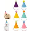 CATASTRBT 6 Pezzi Mini Cappellino di Festa per Animali Carino Colorato Cappellini Compleanno per Gattini Cuccioli Piccolo Coniglio Regolabile Cappellini a Cono Decorazione Accessori