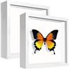 sunmeg 2Pcs Cornice Profonda 14 x 14 cm 3D Cornice per Foto Cornice Contenitore Riempibile Forma Quadrata da Appendere a Parete o Desktop