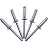 Marcopol Confezione da 250 rivetti ciechi 5,0 x 16 mm, testa a cupola aperta, rivetti a pressione, DIN 7337, rivetti in acciaio e mandrino in acciaio (250, 5,0 x 16 mm)