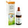 GUNA SpA GORSE 13 10ML GTT BACH GUNA