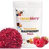 Honeyberry Lamponi Liofilizzati a Pezzi 100g - Lamponi Disidratati - Frutta Liofilizzata - Frutta Secca Disidratata - Perfetti per Dolci, Decorazioni, Yogurt, Muesli e Dessert