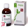 FITOMEDICAL SRL EUCALIPTO MACERATO GLICERICO 50 ML