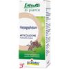 BOIRON SRL HARPAGOPHYTUM BOIRON ESTRATTO IDROALCOLICO 60 ML