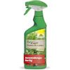 Neudorff BioKraft - Trattamento vitale per erbe aromatiche AF - Spray pronto all'uso favorisce una nutrizione ottimale e rivitalizza le erbe sensibili ai parassiti e alle malattie, 500 ml
