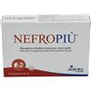 Aurora licensing srl NEFROPIU' 30CPR