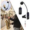 Microfono Clip su microfono a condensatore strumentale Strumenti per spettacoli