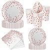 Nkaiso 50Pcs Rosa Oro Stoviglie per Feste di Compleanno-10 Ospiti | 10 x 23cm & 10 x 18cm Piatti Carta Usa e Getta Eleganti, 10 Bicchieri, 20 Tovaglioli - per Festività Feste Decorazioni