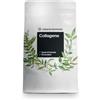natural elements Collagene in polvere 500 g - peptidi di collagene idrolizzato - collagene di tipo 1 e 3 - fresco gusto di arancia, perfetta solubilità, naturale, testato in laboratorio e prodotto in Germania