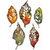 Sizzix Set di fustelle Thinlits 5 pezzi di foglie di Tim Holtz, 665559