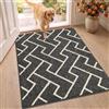 Biscpro Zerbino per interni, 80 x 100 cm, con retro antiscivolo, assorbente e antiscivolo, per ingresso, interni, cucina, porta anteriore e posteriore, animali domestici e giardino, nero