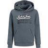 JACK & JONES Jjelogo Sweat Hood 2 col Aw25 Noos Jnr, Sky Captain, 176