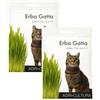 AGRI-CULTURA® | Semi Erba Gatta Naturale | 2 Bustine di Semi di Erba per Gatti Facile da Coltivare in Casa | Favorisce la Digestione e Riduce i Boli di Pelo.