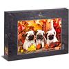 Ulmer Puzzleschmiede - Puzzle Cuccioli adorabili - Carino animale bambino immagine di tre cuccioli di carlino carino per gli amanti dei cani
