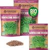 ZenGreens® - Semi di lenticchie rosse biologico - Scegli tra 10g, 200g e 500g - Germogli di lenticchie rosse - Germinazione superiore al 97% - Microgreens