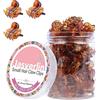 JASVERLIN Piccoli fermagli per capelli sottili, forte presa senza dolore Mini Tiny Clip 90s Accessori per donne ragazze bambini Styling 50 pezzi (marrone)
