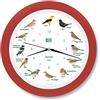 KOOKOO Singvögel RC Rosso Fragola, Orologio cantanti con 12 Uccellini Native e registrazioni Sonora dei canori Originali dalla Natura