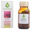 BARDANA 100CPS 380MG