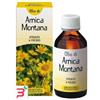 ERBORISTERIA MAGENTINA SRL ARNICA OLIO VEGETALE 100 ML