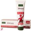 SOLIME' SRL SILICIUM FLEX ARNICA 100 ML