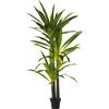 DRW Pianta artificiale di una Dracaena in PU in verde 190x25x25 cm