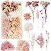 Slvoaujtk Fiori secchi Fiore Secchi Decorazione Fiori Secchi Naturali Fiori Secchi Fiori Veri Fiori Spremuti Secchi e Foglie Secche Naturali per la Decorazione fai da te (Rosa)