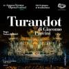 52733 Turandot