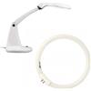 Prym Lampadine Neon di Ricambio per Lenti d'Ingrandimento Prym - 12W e 22W