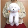 Sun Lemon Knee Dog Bichon Frize Peluche Bambola Taglia S 40 cm Soffice Giocat...